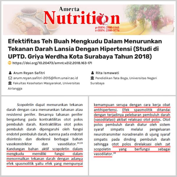 Noni sebagai Vasodilator