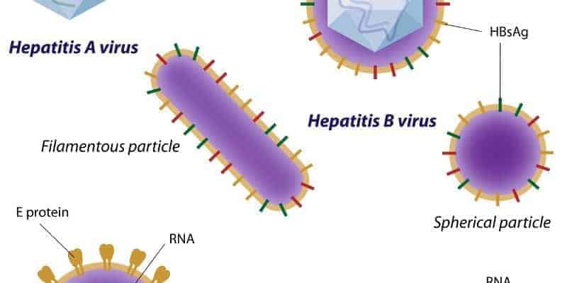 Noni Juice untuk Pengobatan Penyakit Hepatitis B