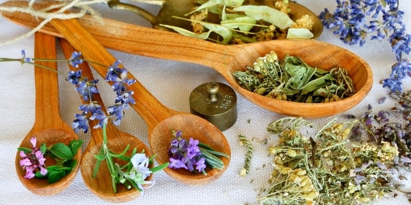 Herbal untuk Obat Malaria • Deherba.com