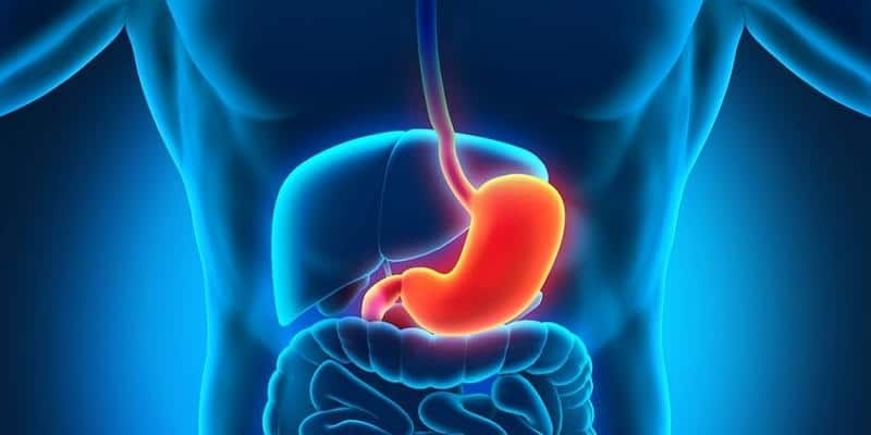 Pengertian Gejala dan Penyebab Gastritis   Deherba com