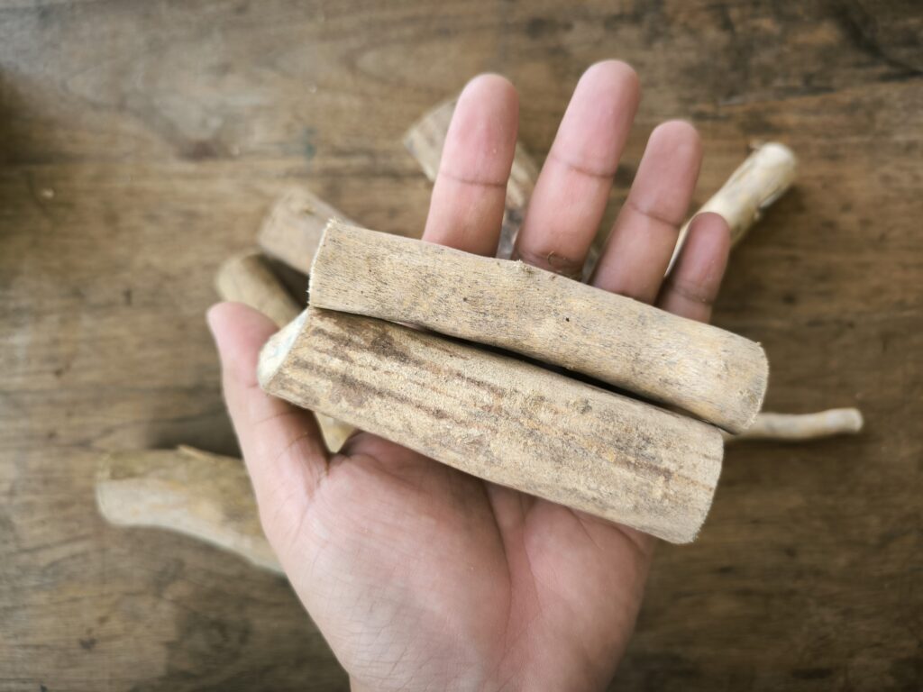 Akar Tongkat Ali