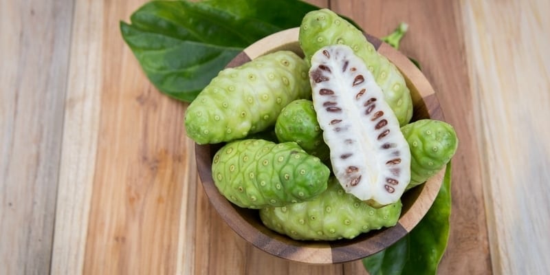 noni juice obat maag alami atau herbal maag indonesia noni juice obat maag alami atau herbal maag indonesia