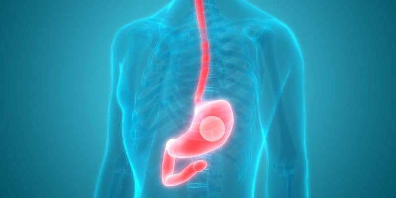 Pertandaindikasi Yang Dirasakan Ketika Kena Kanker Darah Health
