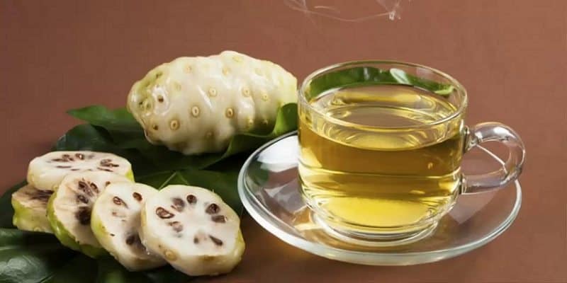 noni dan hepatitis C