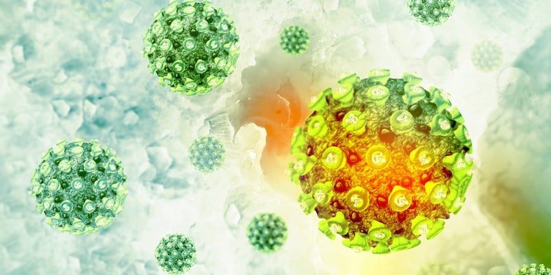virus HPV - virus penyebab kanker - faktor penyebab kanker
