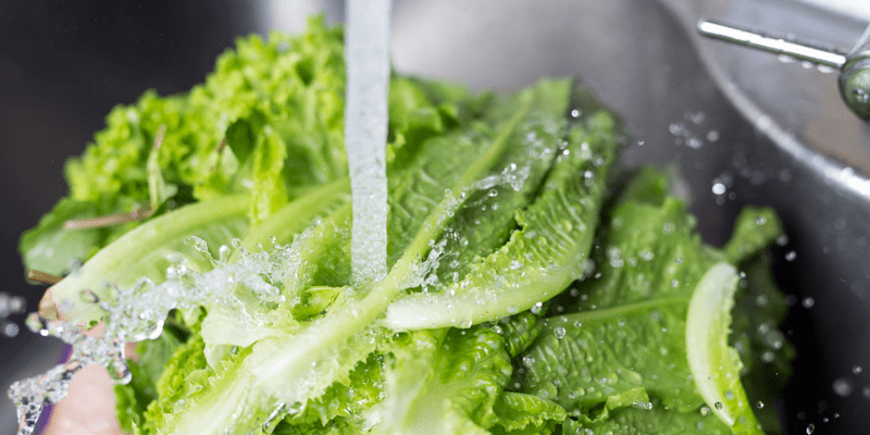 manfaat daun selada - manfaat selada - daun selada