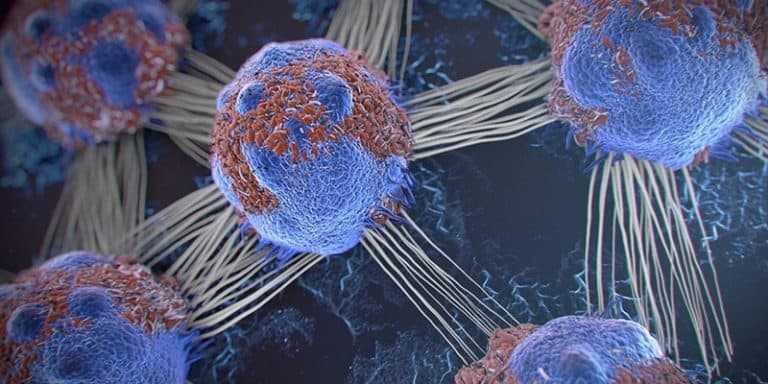 Ini Dia 11 Fakta Seputar Sel Kanker •