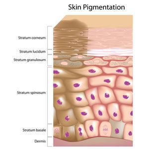 pigmentasi kulit