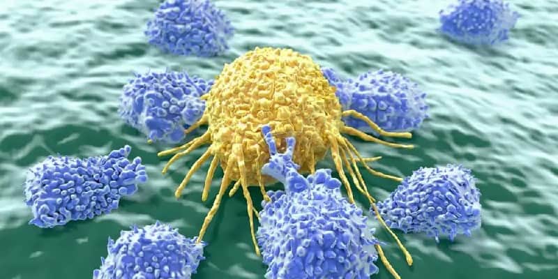 cara mencegah kanker - cara pencegahan kanker - sistem imun