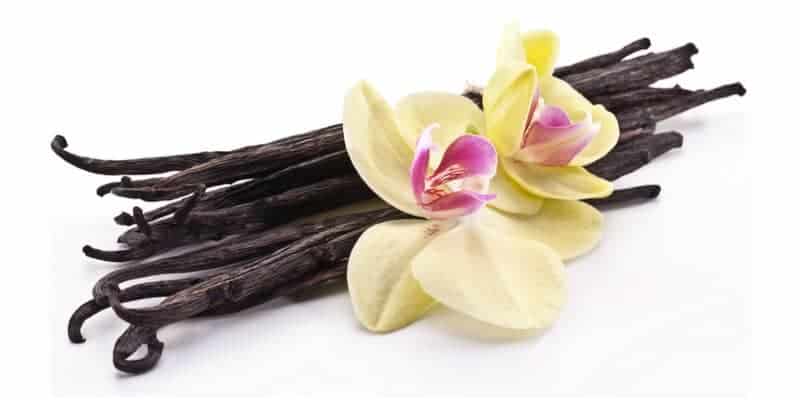 manfaat vanili - ekstrak vanili - herbal pencegah kanker