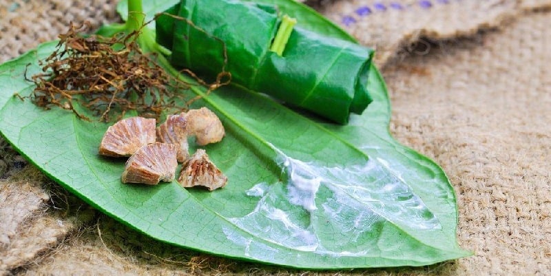 Kebiasaan menyirih, salah satu faktor penyebab kanker mulut