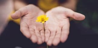 Penyakit Gangguan Jiwa: Hapus Stigma & Pahami yang Sebenarnya Ilustrasi Penyakit Gangguan Jiwa