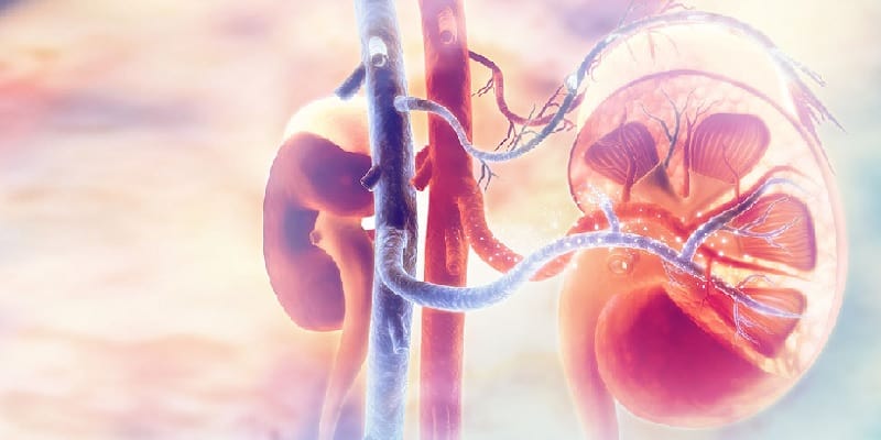 Cara Mengobati Luka Diabetes Agar Cepat Kering Dan Sembuh Cara Mengobati Luka Diabetes Agar Cepat Kering Dan Sembuh