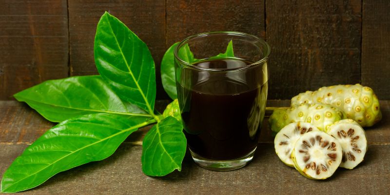 Ilustrasi Herbal Noni Juice untuk Meringankan Fibromyalgia